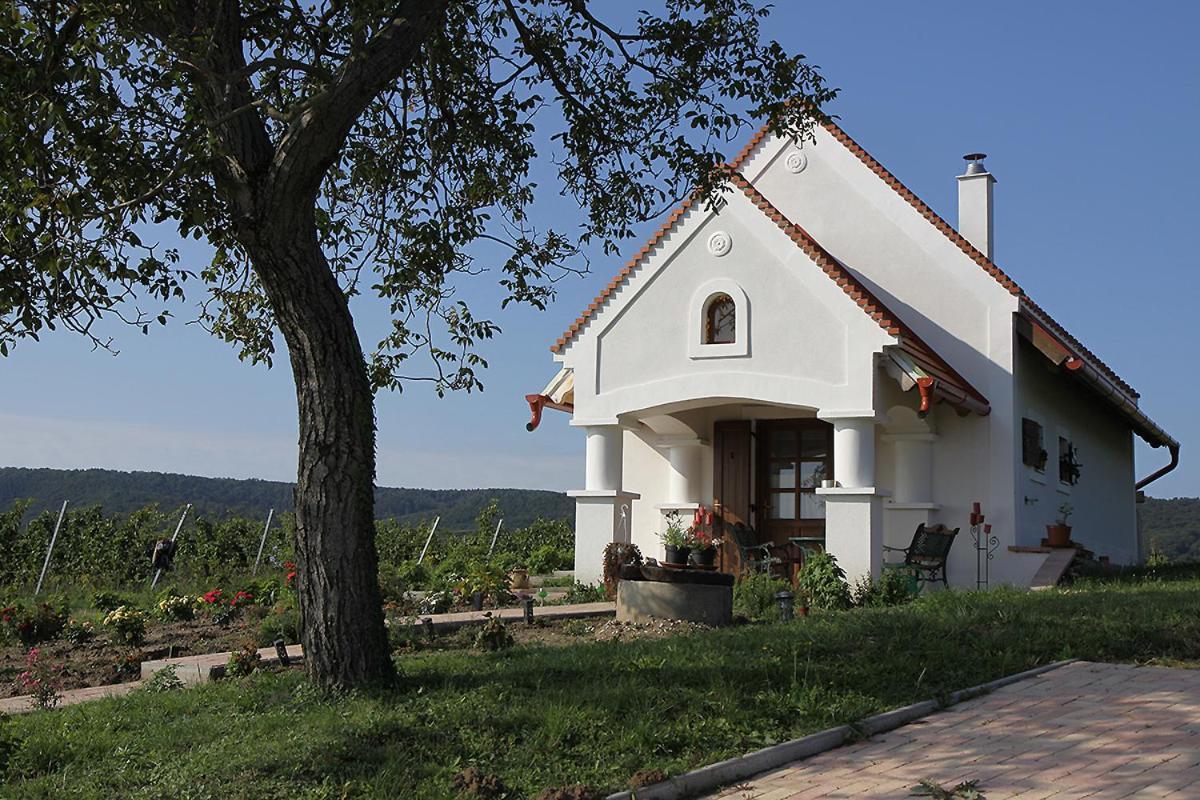 Casa Beata Villa Lesencetomaj Екстериор снимка